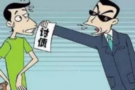 岳西融资清欠服务